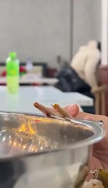 马拉维津巴布韦Econet Call.MP4