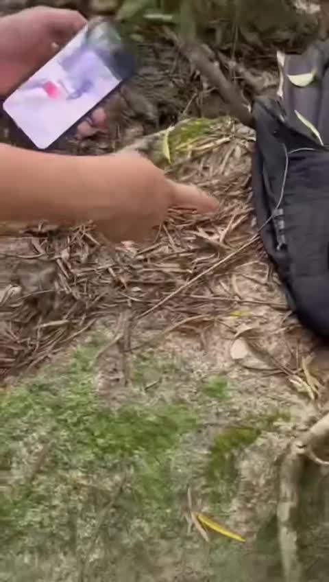 汕头潮阳谷饶 凶杀案.MOV